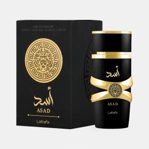 Asad by Lattafa (Inspired by Sauvage Elixir Dior)